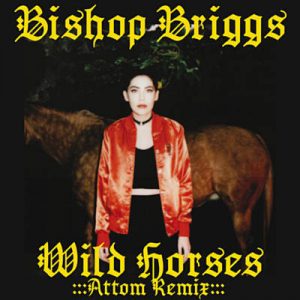 Bishop Briggs - Wild Horses (Acoustic) Ringtone