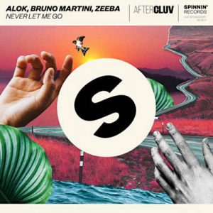 Alok & Bruno Martini & Zeeba - Never Let Me Go Ringtone