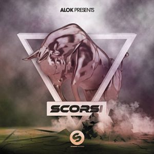 Alok & Mathieu Koss - Big Jet Plane (Scorsi Remix) Ringtone