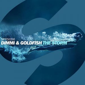 DIMMI & Goldfish - The Storm Ringtone