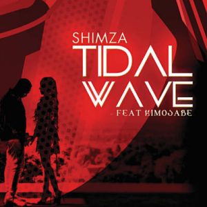 DJ Shimza Feat. Kimosabi - Tidal Wave Ringtone