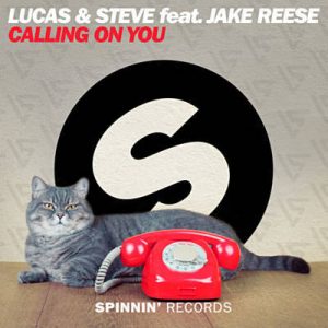 Lucas & Steve Feat. Jake Reese - Calling On You Ringtone