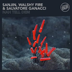 Sanjin Feat. Walshy Fire & Salvatore Ganacci - Nah Tell Dem Ringtone