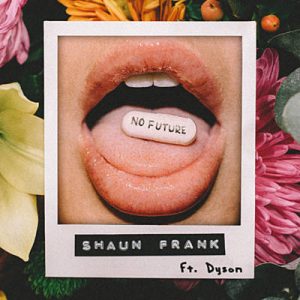 Shaun Frank Feat. DYSON - No Future Ringtone