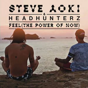 Steve Aoki & Headhunterz - Feel (The Power Of Now) Ringtone
