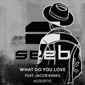 Seeb Feat. Jacob Banks - What Do You Love Ringtone