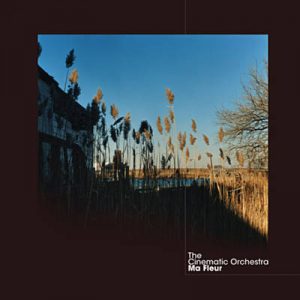 The Cinematic Orchestra Feat. Patrick Watson - To Build A Home Ringtone
