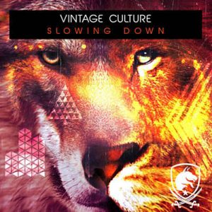 Vintage Culture - Slowing Down Ringtone