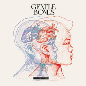 Gentle Bones - Settle Down Ringtone