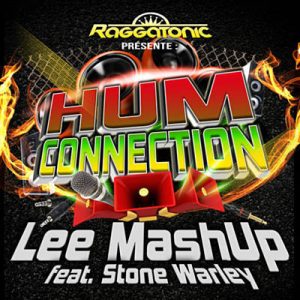 Lee Mashup Feat. Stone Warley & Co - Hum Connection Ringtone