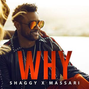 Shaggy & Massari - Why Ringtone