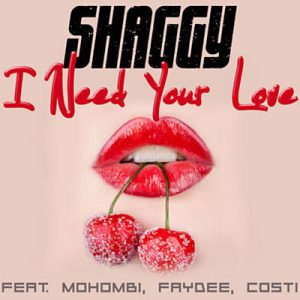 Shaggy Feat. Mohombi & Faydee & Costi - I Need Your Love (Don Corleon Dancehall Remix) Ringtone