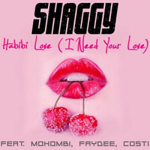 Shaggy Feat. Mohombi & Faydee & Costi - I Need Your Love Ringtone