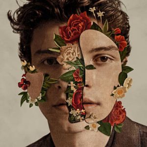 Shawn Mendes - In My Blood Ringtone