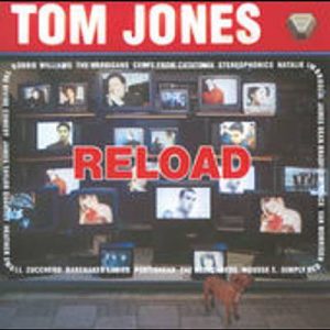 Tom Jones Feat. The Cardigans - Burning Down The House Ringtone