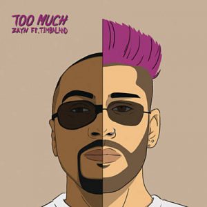 ZAYN Feat. Timbaland - Too Much Ringtone