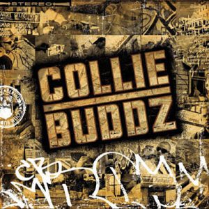 Collie Buddz - Blind To You Ringtone