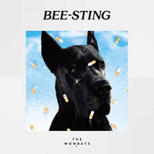The Wombats - Bee-Sting Ringtone